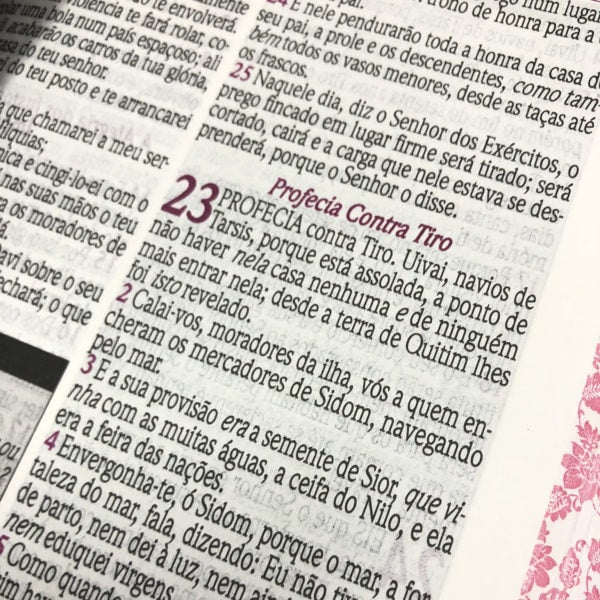 Bíblia de Estudo da Mulher Sábia | ARC | Harpa Avivada | Capa Rosas Preta