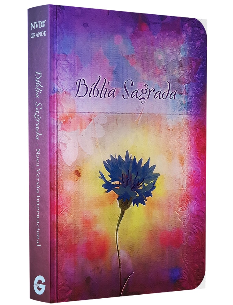 Bíblia Sagrada Fala Comigo Jesus | NVI | Letra Gigante | Nova Ortografia Capa Dura