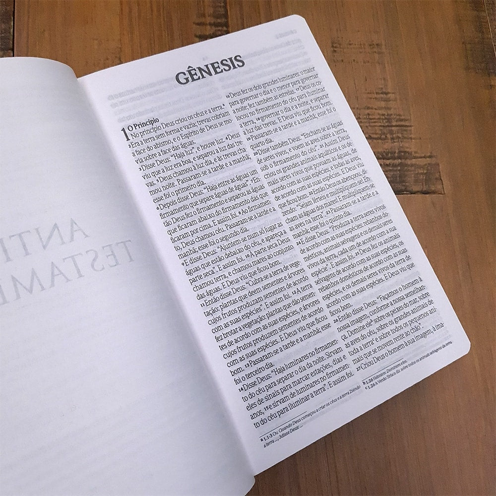 Bíblia Sagrada Fala Comigo Jesus | NVI | Letra Gigante | Nova Ortografia Capa Dura