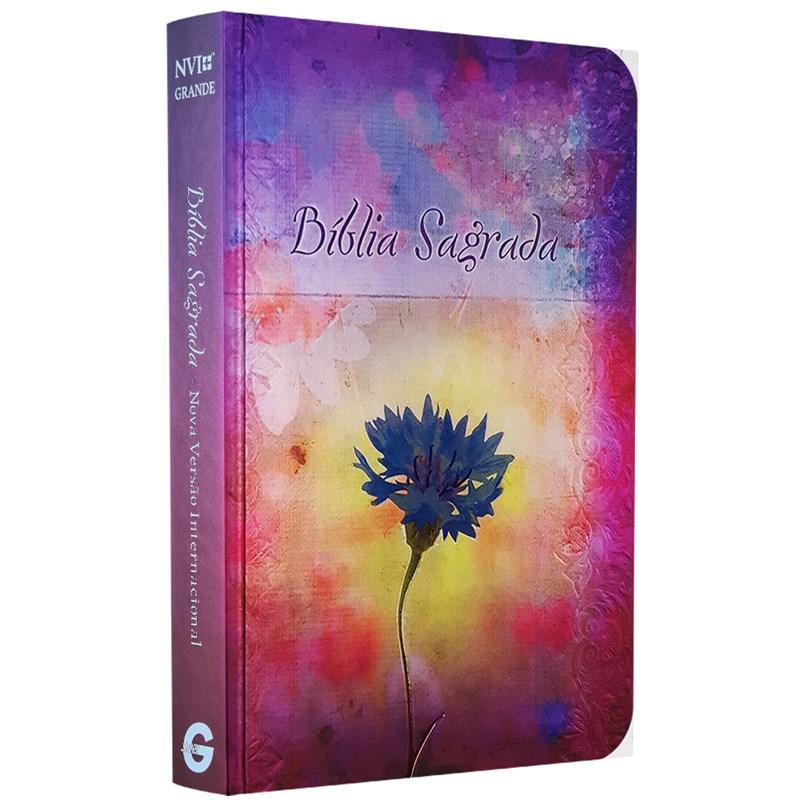 Bíblia Sagrada Fala Comigo Jesus | NVI | Letra Gigante | Nova Ortografia Capa Dura