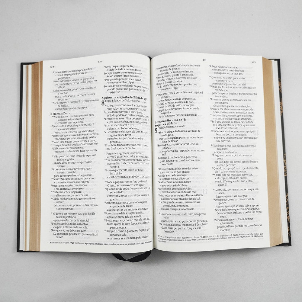 Bíblia Indian Flowers Dourada | NVT | Letra Normal | Capa Dura