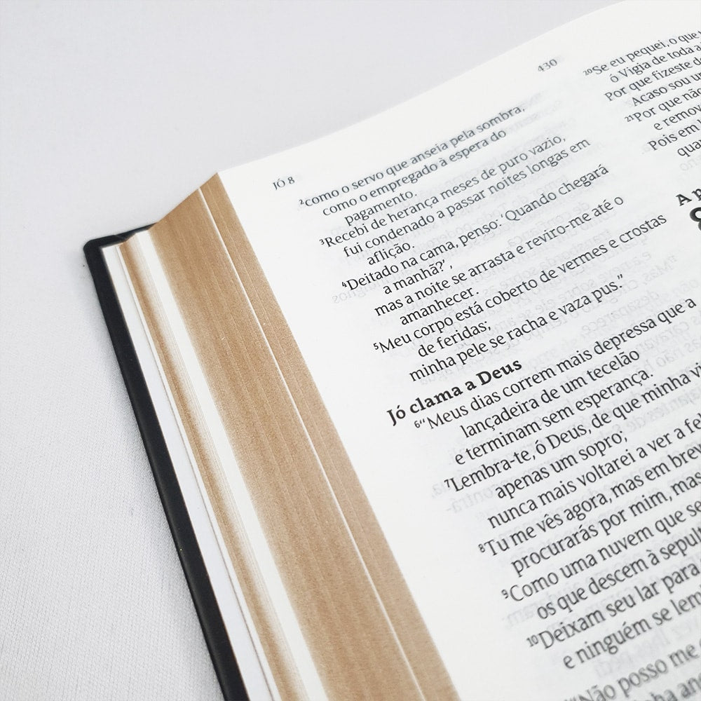 Bíblia Indian Flowers Dourada | NVT | Letra Normal | Capa Dura