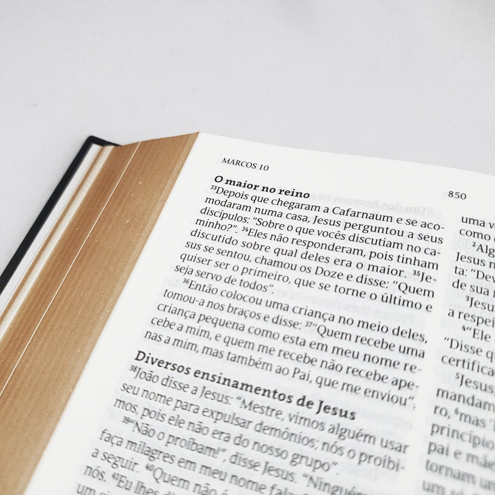 Bíblia Indian Flowers Dourada | NVT | Letra Normal | Capa Dura