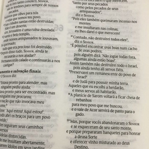 Bíblia Jardim da Vida Roxo | NVT Letra Grande | Capa Dura