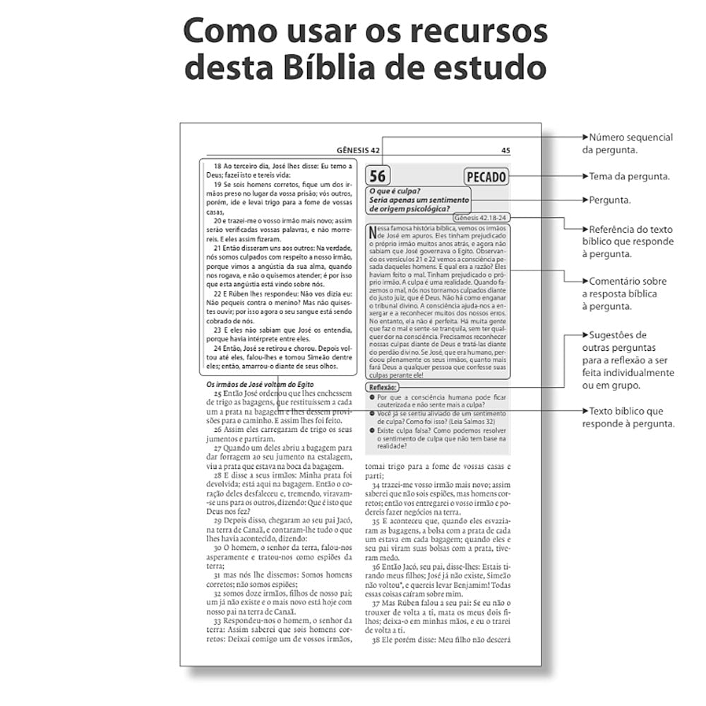 Bíblia de Estudo Esperança | A21 | Letra Normal | Capa Verde