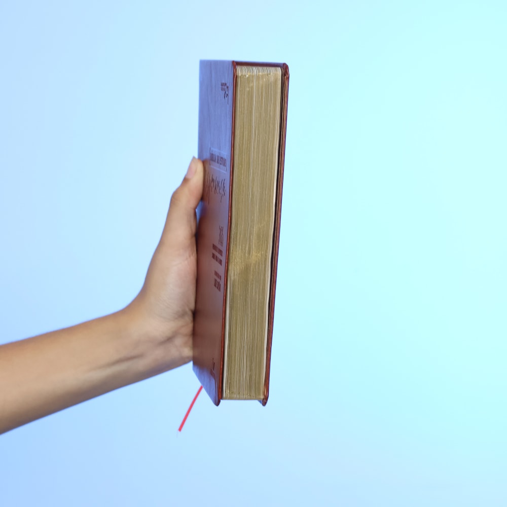 Bíblia de Estudo Esperança | A21 | Letra Normal | Capa Couro Simulado