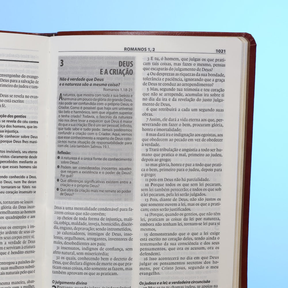 Bíblia de Estudo Esperança | A21 | Letra Normal | Capa Couro Simulado