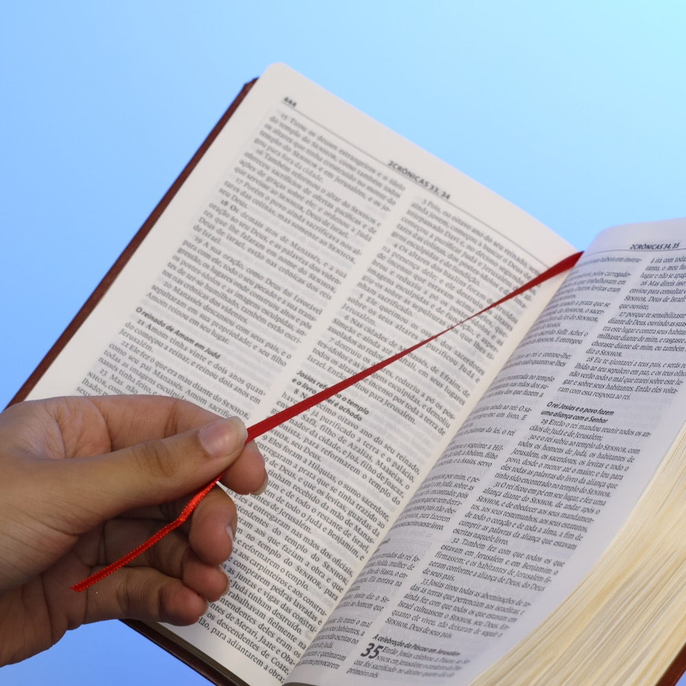 Bíblia de Estudo Esperança | A21 | Letra Normal | Capa Couro Simulado