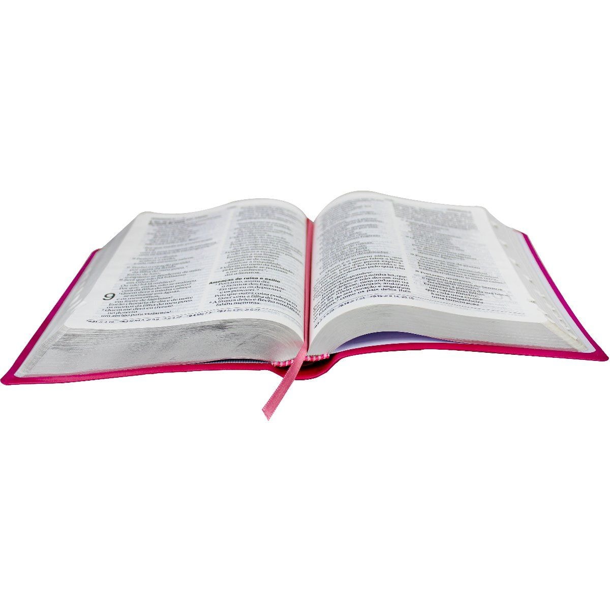 Bíblia Sagrada | NAA | Letra Gigante | Capa Pink Flor C/ Índice
