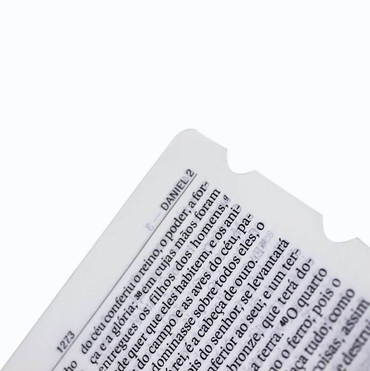 Bíblia Sagrada | NAA | Letra Gigante | Capa Pink Flor C/ Índice