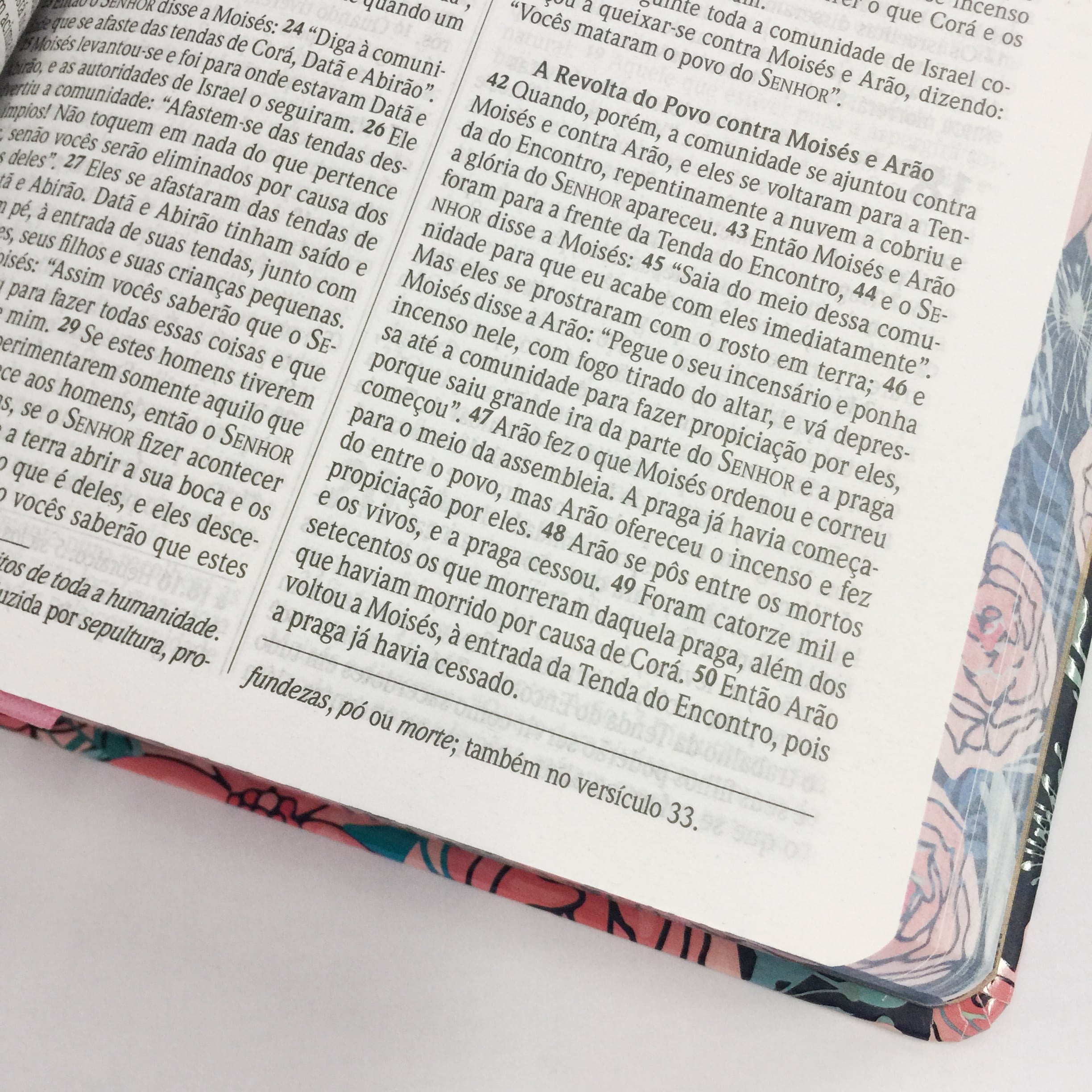 Bíblia Sagrada | NVI | Letra Normal | Capa Rosas Especial