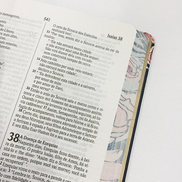Bíblia Sagrada | NVI | Letra Normal | Capa Rosas Especial