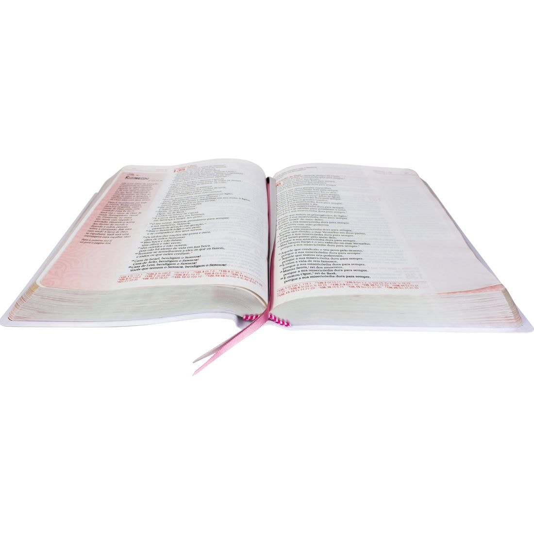 Bíblia Sagrada Verdadeira Identidade | Letra Normal | NAA | Capa Alegre-se Sempre no Senhor