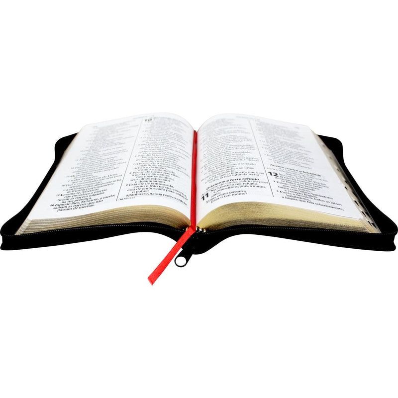 Bíblia Sagrada | ARA | Letra Gigante | Notas e Referências C/ Zíper Capa Preta