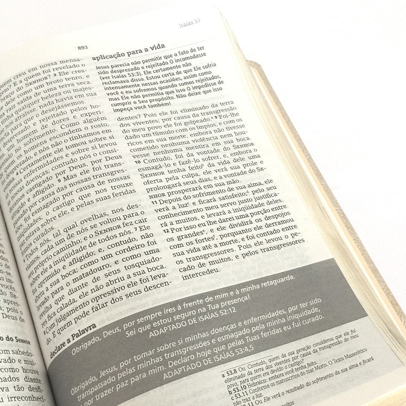 Bíblia De Estudo Joyce Meyer | NVI | Letra Média | Capa Azul Tifany