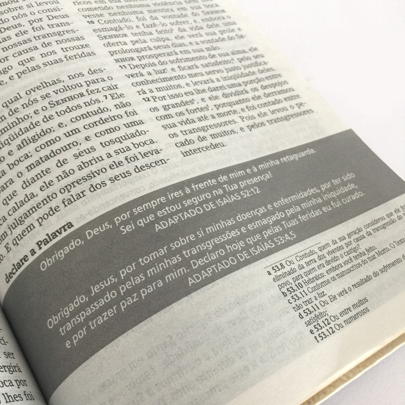 Bíblia De Estudo Joyce Meyer | NVI | Letra Média | Capa Azul Tifany