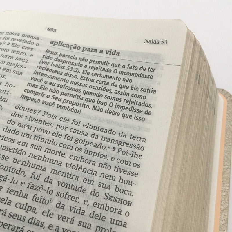 Bíblia De Estudo Joyce Meyer | NVI | Letra Média | Capa Azul Tifany