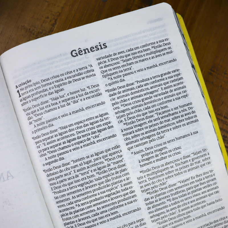 Bìblia Especial Asas | NVT | Letra Normal | Capa Dura
