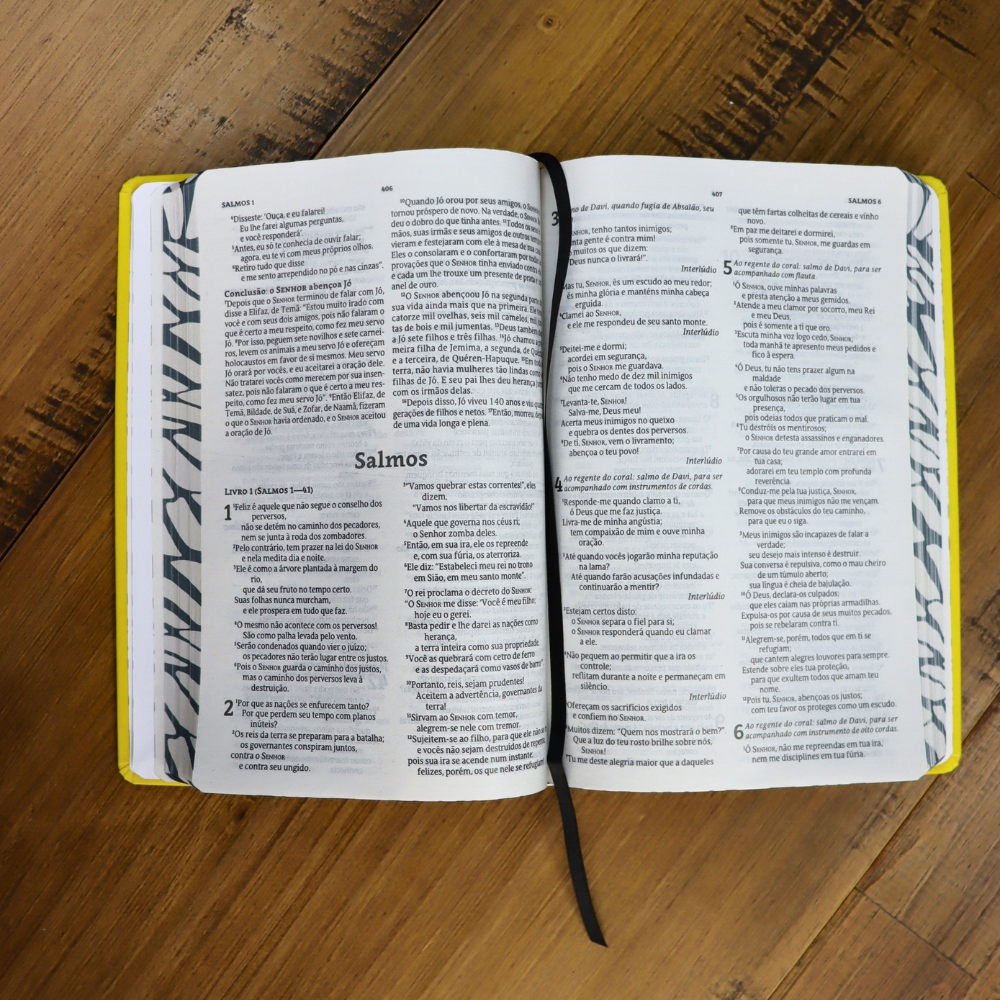 Bìblia Especial Asas | NVT | Letra Normal | Capa Dura