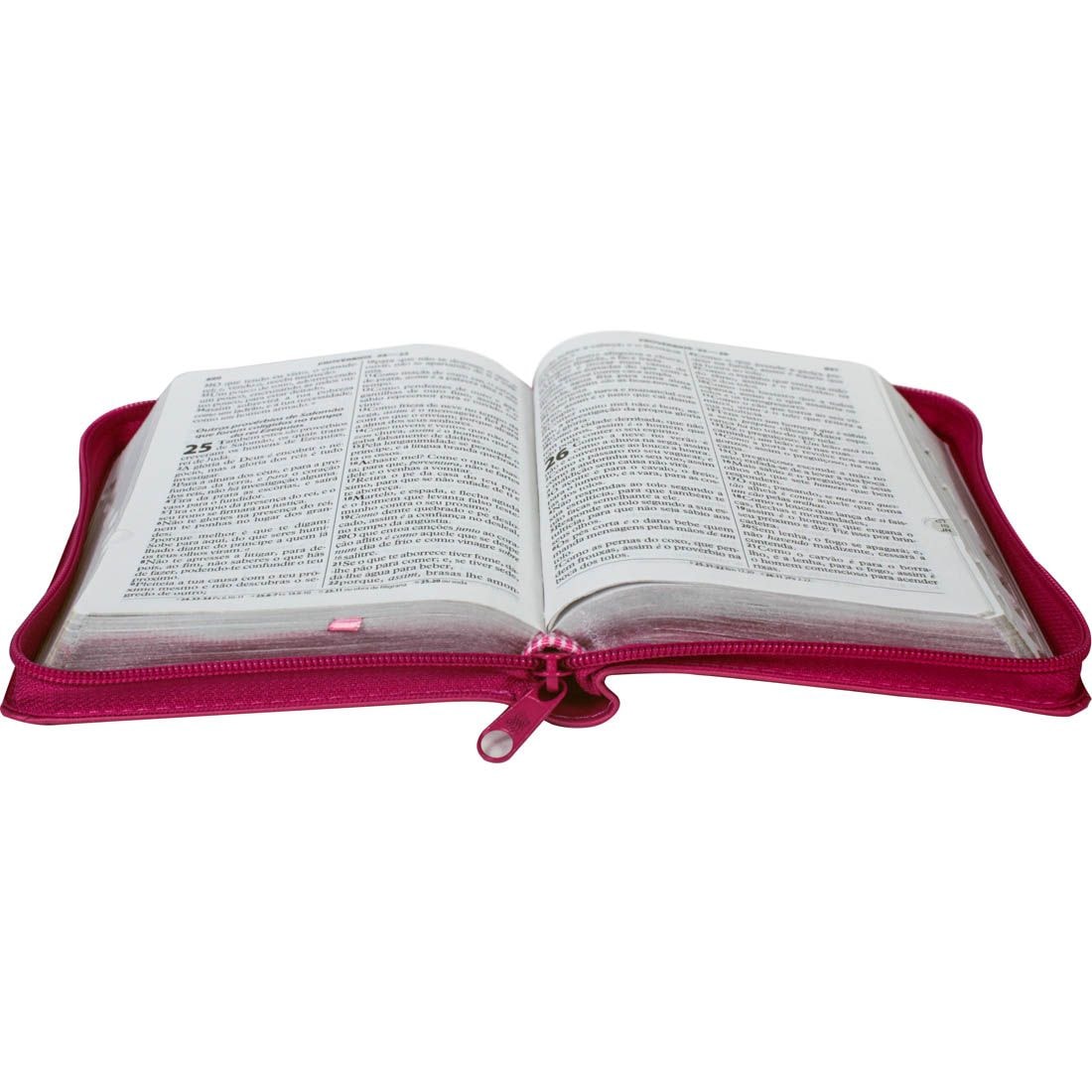 Bíblia Sagrada Raminhos | ARC | Letra Grande | Capa Pink C/ Zíper e Índice