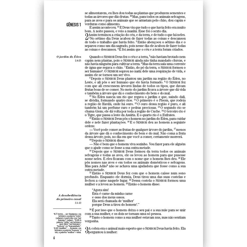 Bíblia The Way O Caminho | NTLH | Letra Média | Capa Brochura