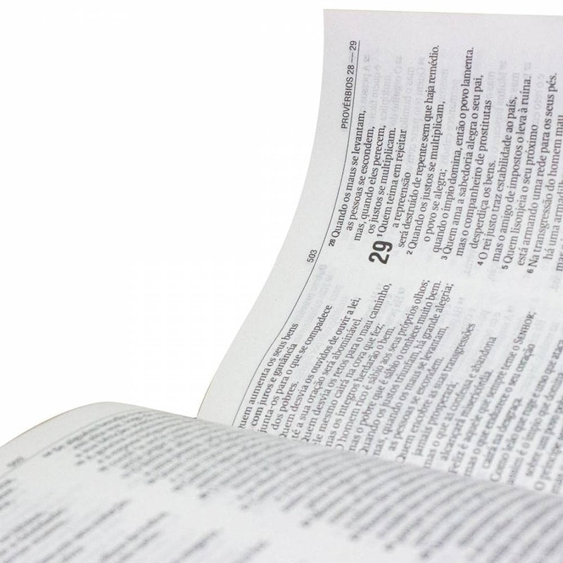 Bíblia Sagrada Amo a Sua Lei | NAA | Letra Normal | Capa Dura