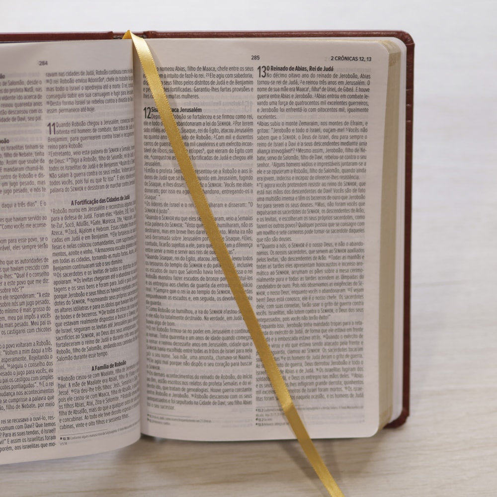 Bíblia Dunamis Clássica Marrom | NVI | Letra Normal | Capa Luxo