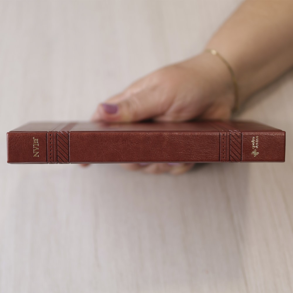 Bíblia Dunamis Clássica Marrom | NVI | Letra Normal | Capa Luxo