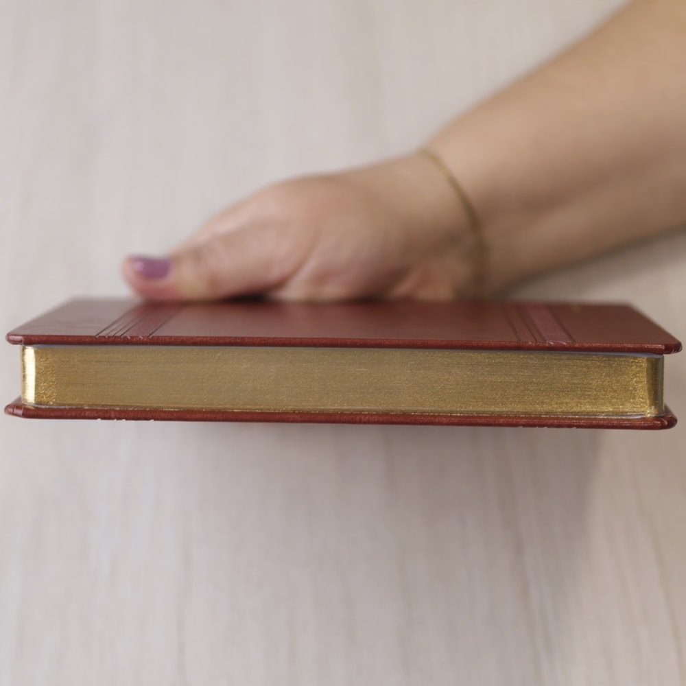 Bíblia Dunamis Clássica Marrom | NVI | Letra Normal | Capa Luxo