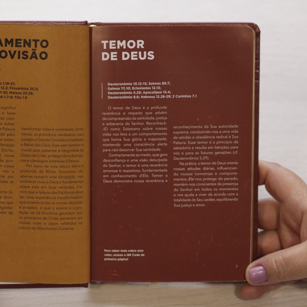 Bíblia Dunamis Clássica Marrom | NVI | Letra Normal | Capa Luxo