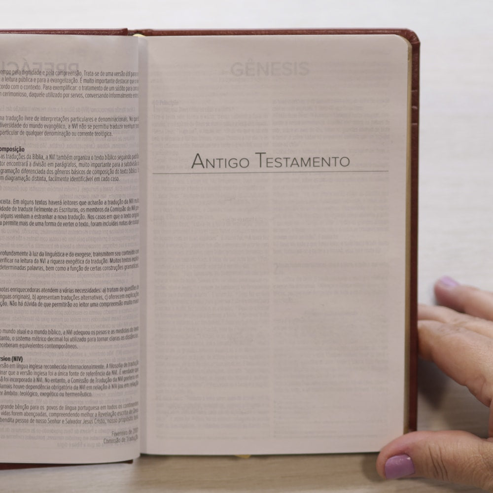 Bíblia Dunamis Clássica Marrom | NVI | Letra Normal | Capa Luxo