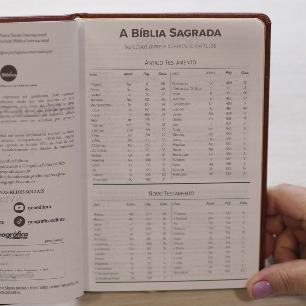 Bíblia Dunamis Clássica Marrom | NVI | Letra Normal | Capa Luxo