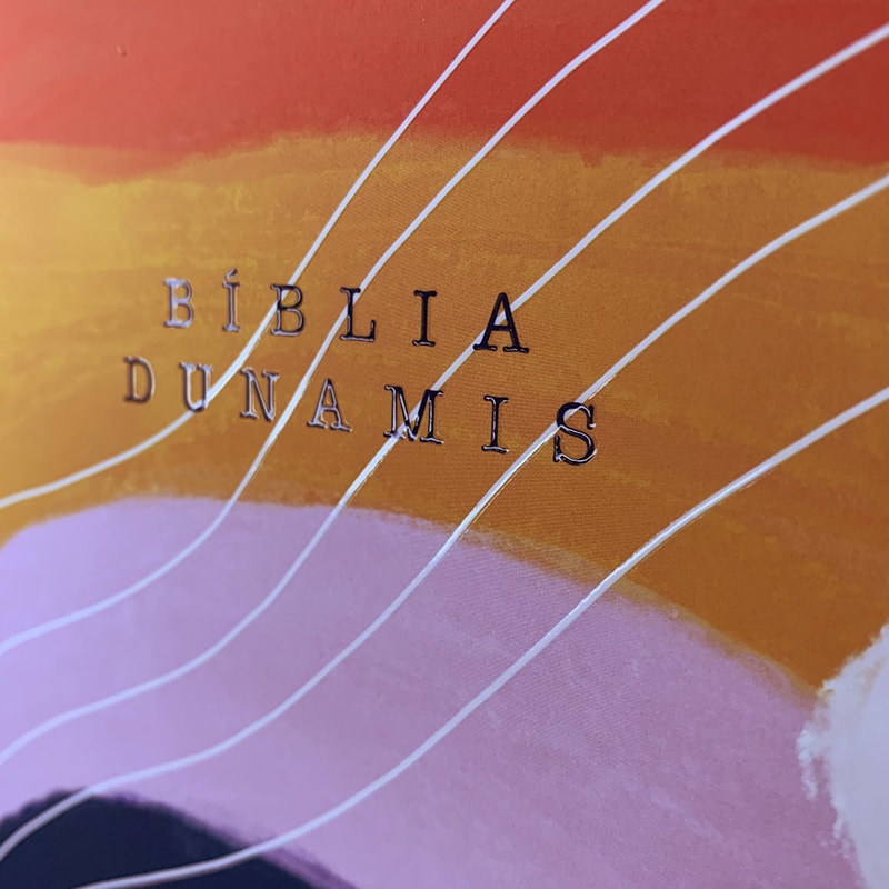 Bíblia Dunamis Artística | NAA | Letra Normal | Capa Soft Touch