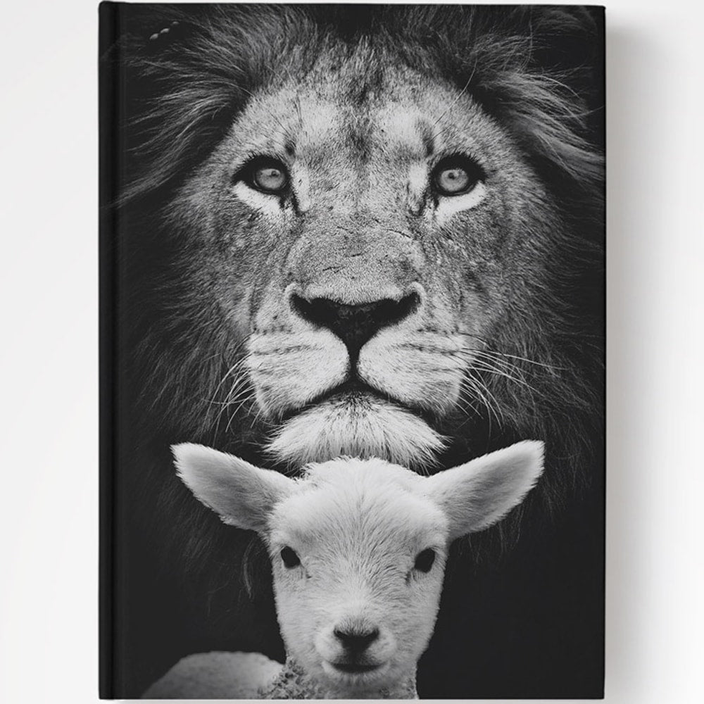 Bíblia Purificador Leão e Ovelha | NAA | Letra Normal | Capa Dura