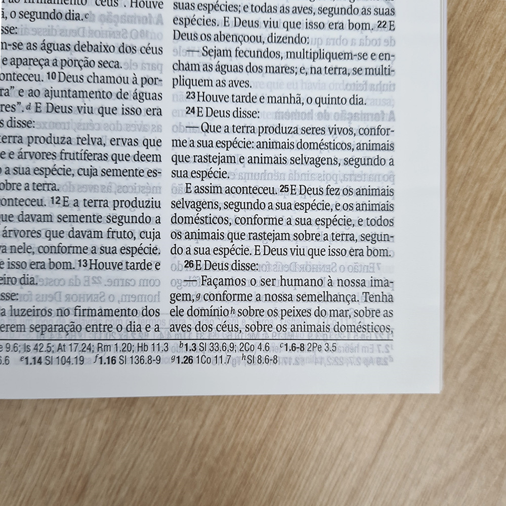 Bíblia Primavera Floral | NAA | Letra Grande | Capa Dura