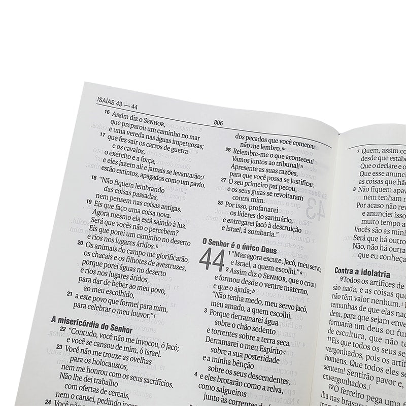 Bíblia Leão Rei dos reis | NAA | Letra Grande | Capa Dura