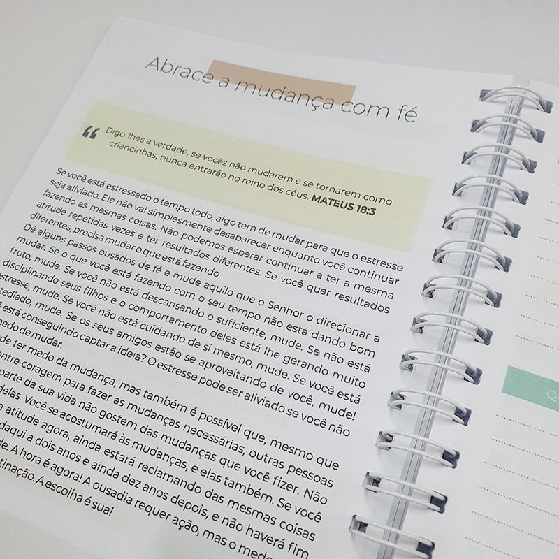 Planner da Vida Diária Joyce Meyer | Capa Dura Listrada Azul