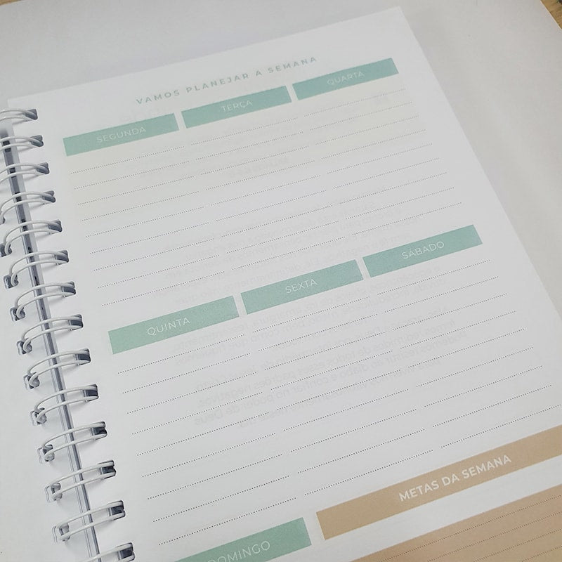 Planner da Vida Diária Joyce Meyer | Capa Dura Listrada Azul