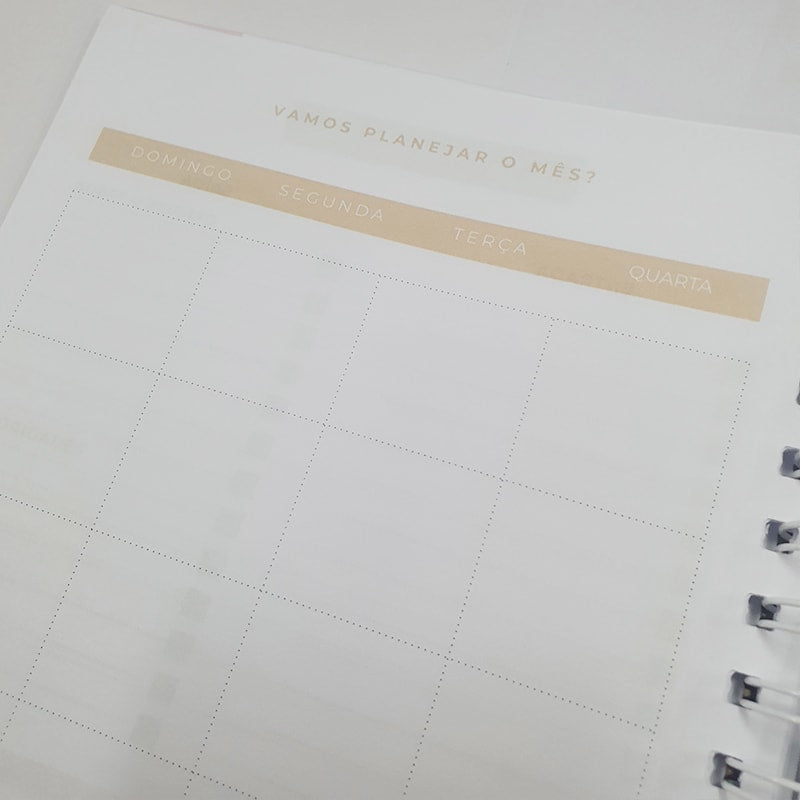 Planner da Vida Diária Joyce Meyer | Capa Dura Listrada Azul