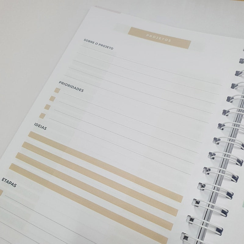 Planner da Vida Diária Joyce Meyer | Capa Dura Listrada Azul