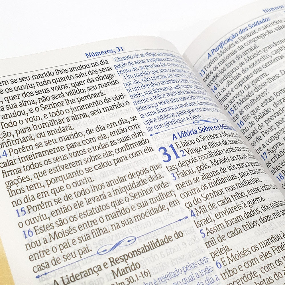 A Bíblia de Estudo do Homem Sábio | ARC | Letra Grande | Harpa Avivada e Corinhos | Capa Marrom