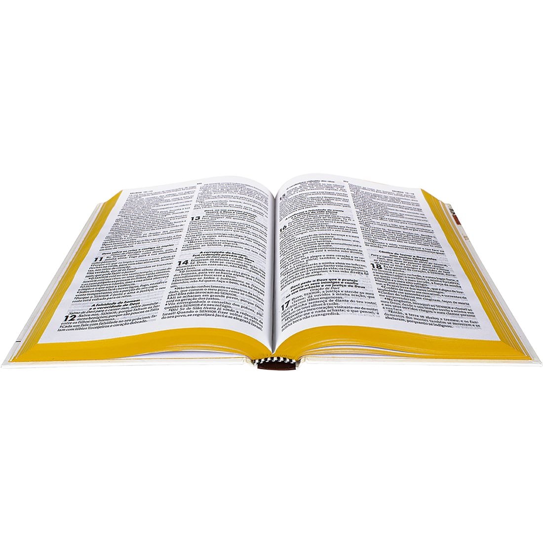 Bíblia Sagrada para Evangelismo Passaro | ARC | Letra Normal | Capa Dura