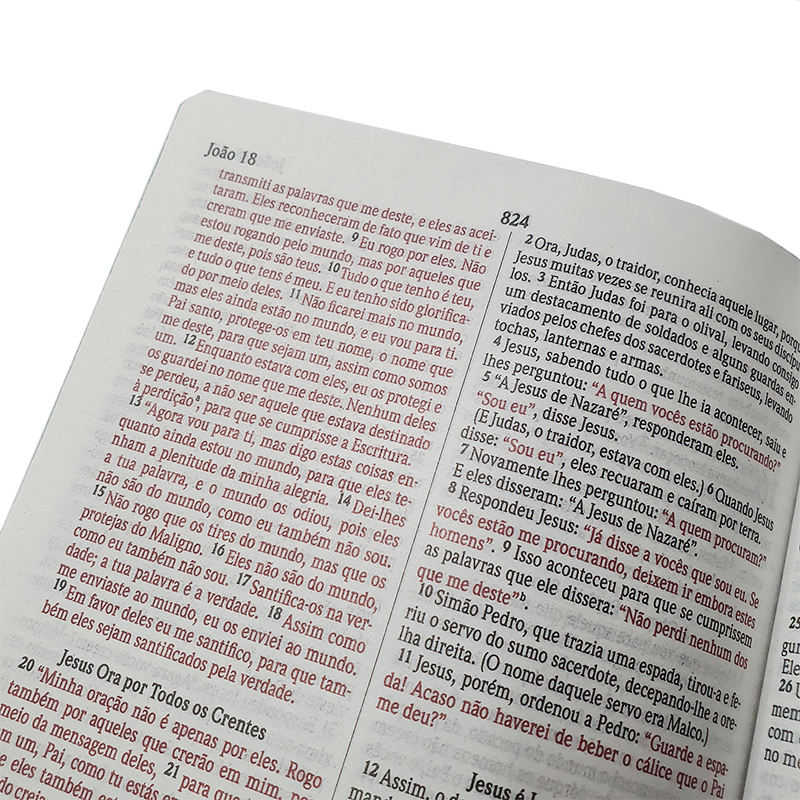 Biblia Sagrada Flores Rosa | NVI | Letra Normal | Capa Dura Soft-Touch