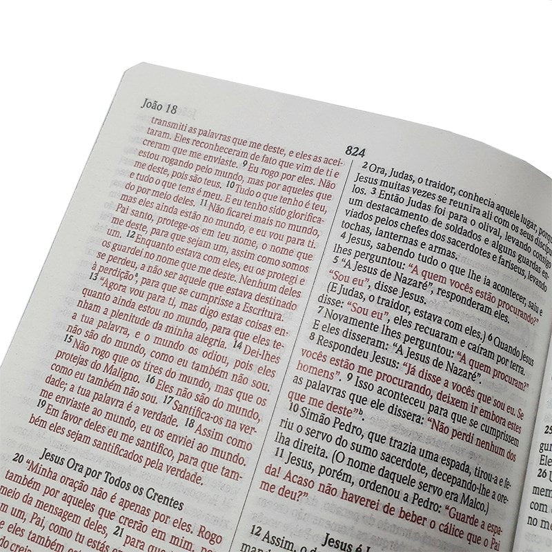 Biblia Sagrada Leão de Juda | NVI | Letra Normal | Capa Dura Soft-Touch