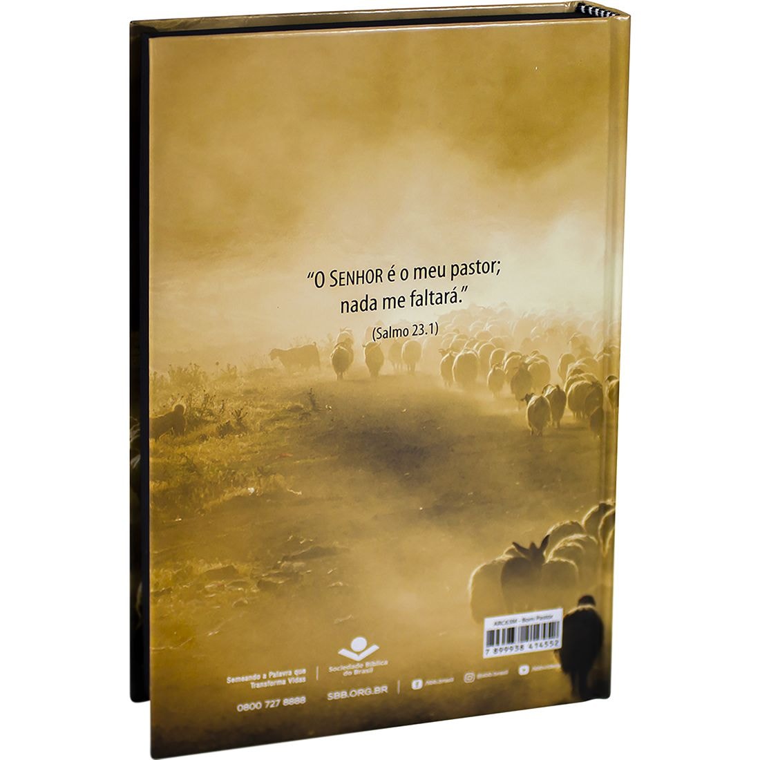 Kit 12 Bíblias Para Evangelismo | ARC | Letra Normal | Capa Dura