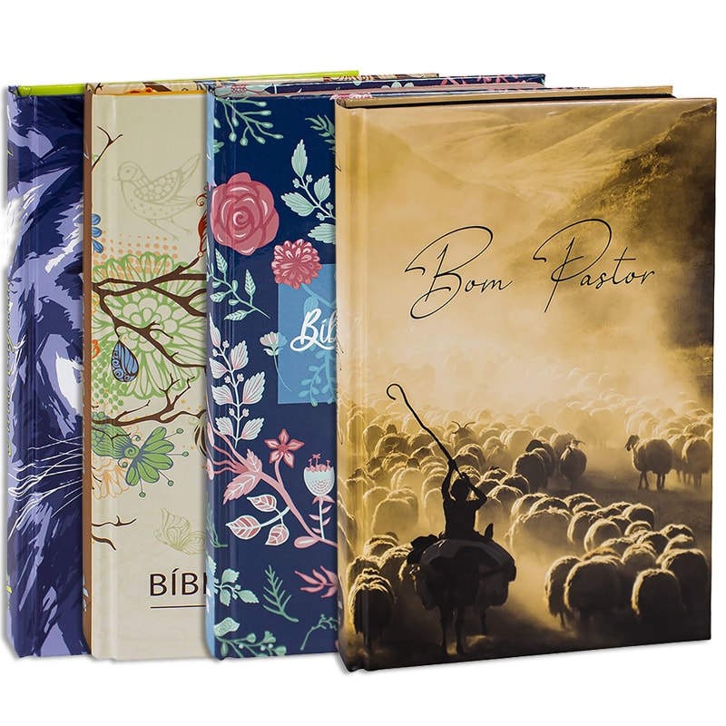 Kit 12 Bíblias Para Evangelismo | ARC | Letra Normal | Capa Dura