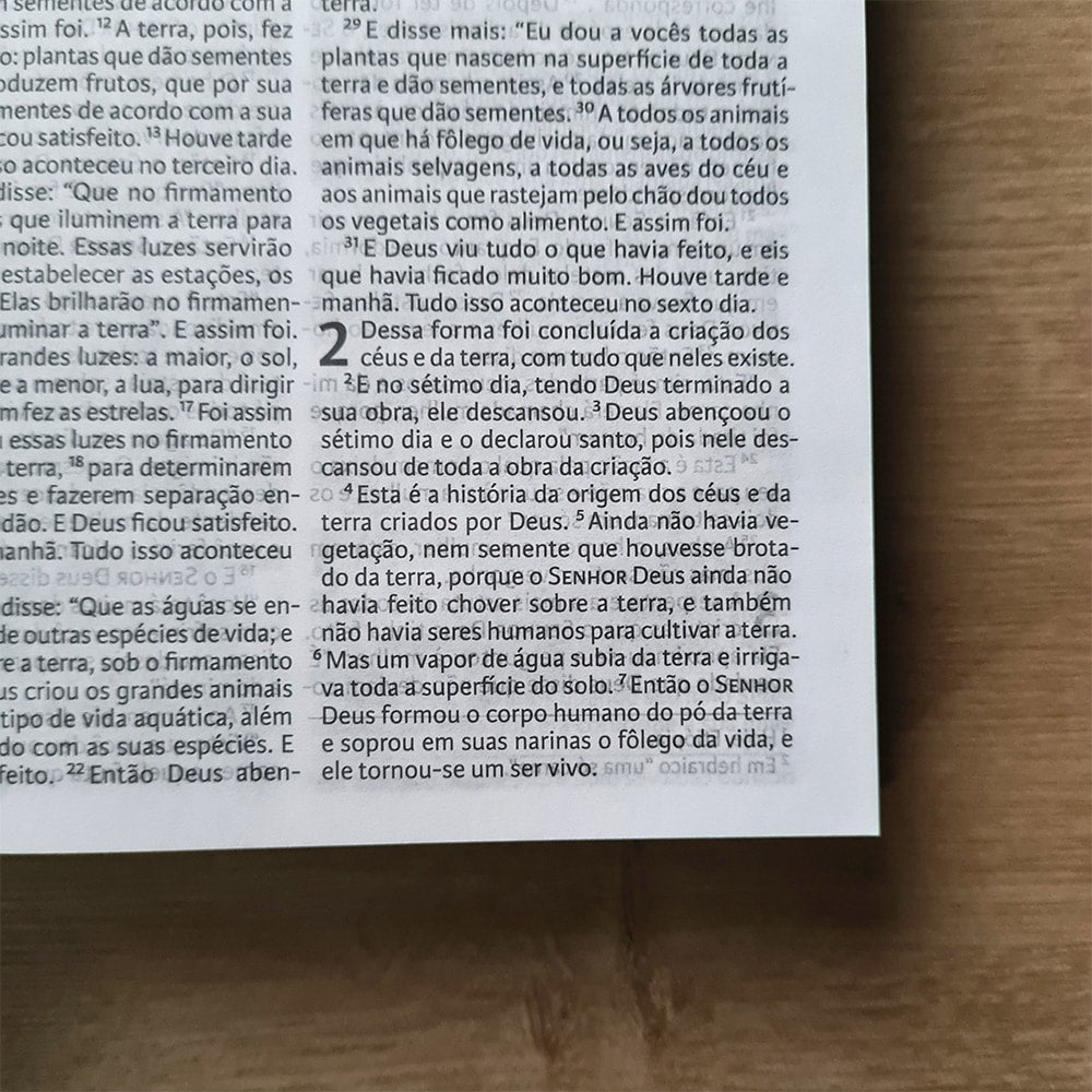 Nova Bíblia Viva Leão Rugindo | NBV | Letra Normal | Capa Dura