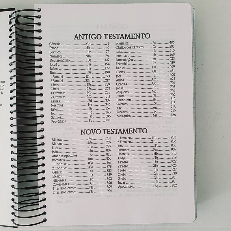 Bíblia Anote Espiral Leão Sereno | NVI | Letra Normal | Com Espaço Para Anotações