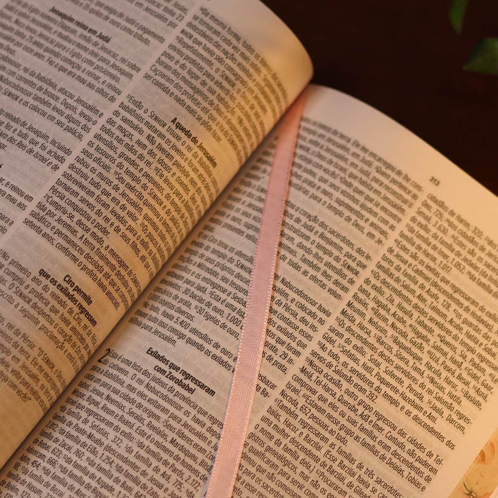 Bíblia Sagrada Mulher Virtuosa | NVT | Letra Normal | Capa Dura Flores