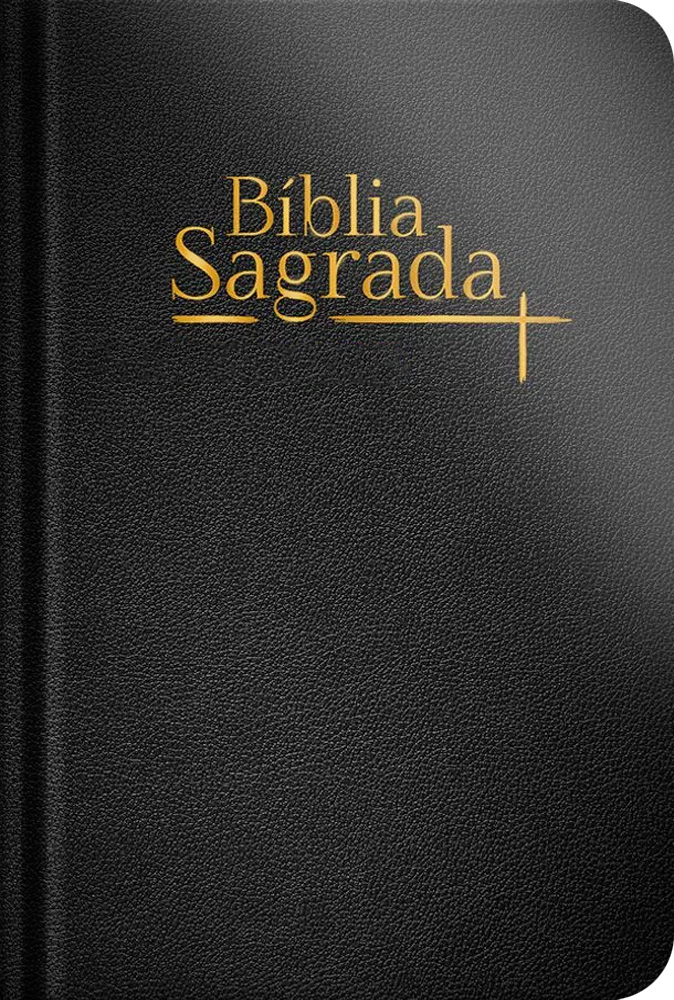 Bíblia Sagrada | NVI | Letra Normal | Capa Dura Luxo Preta